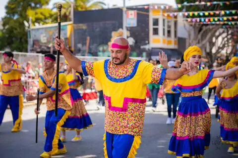 Carnaval SF 2025 — 331