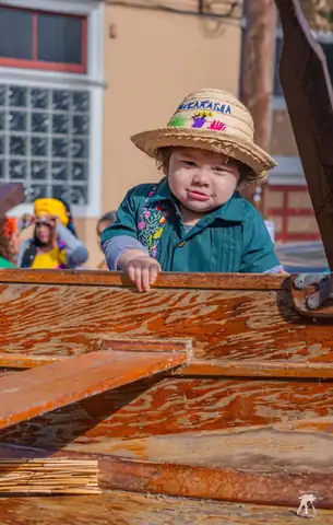 Carnaval SF 2025 — 347