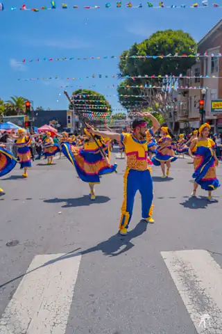 Carnaval SF 2025 — 349
