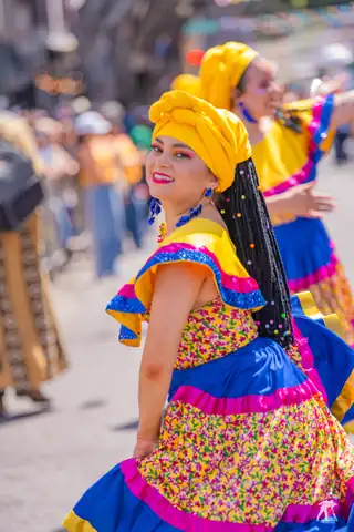Carnaval SF 2025 — 365